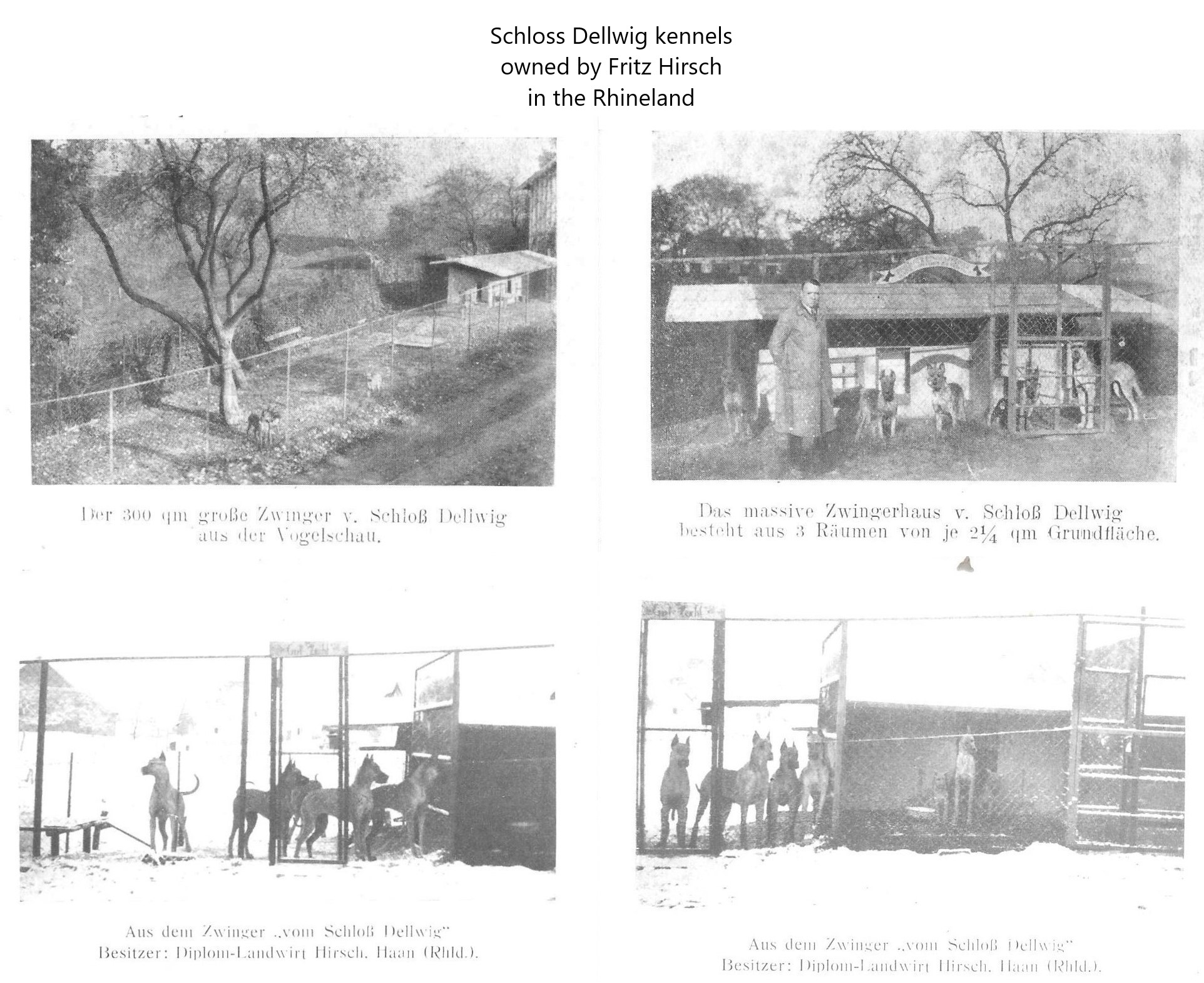 Schloss Dellwig Kennels